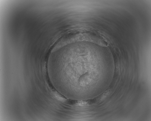 X0000067890278200604171345