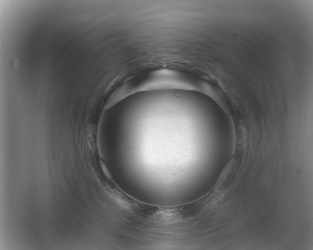 X0000067890280200604171345