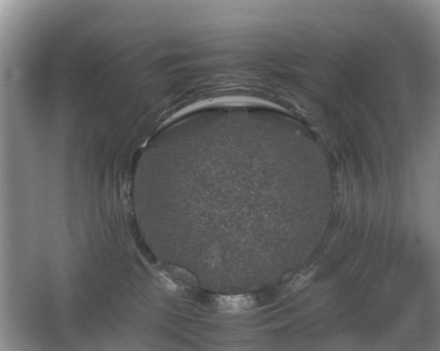 X0000067890281200604171345