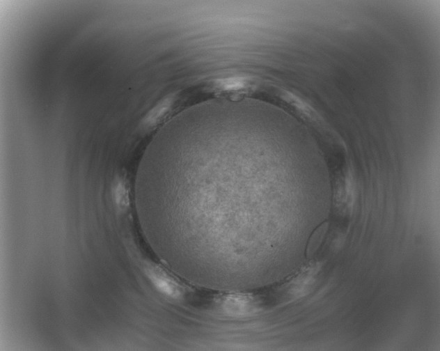 X0000067890282200604171345