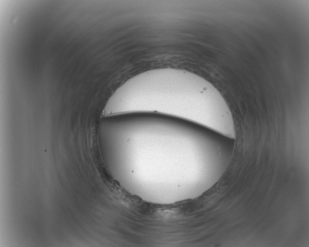 X0000067890283200604171345