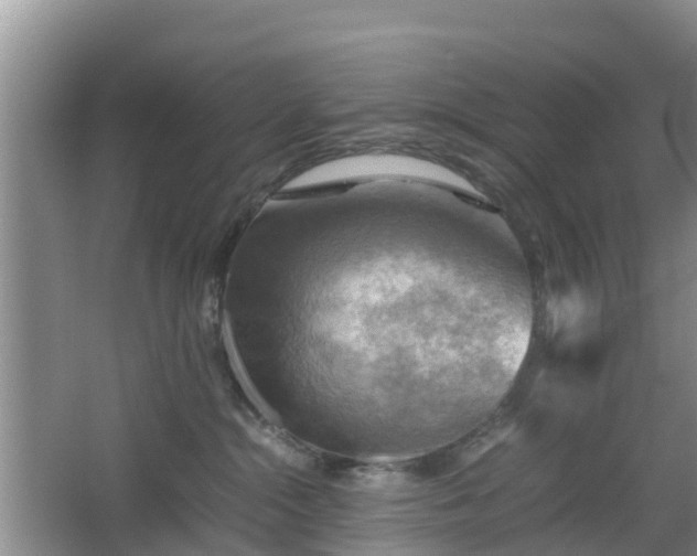 X0000067890284200604171345