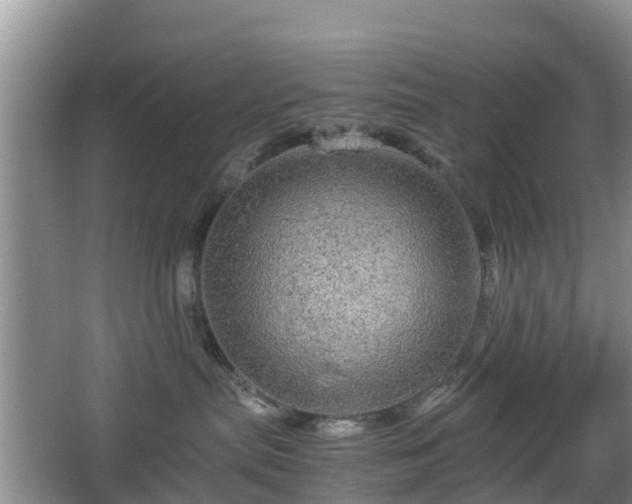 X0000067890287200604171345