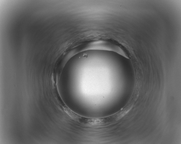 X0000067890288200604171345