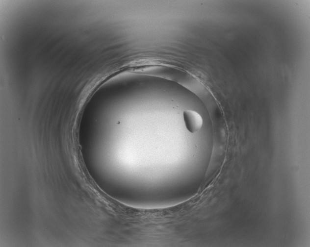 X0000067890289200604171344