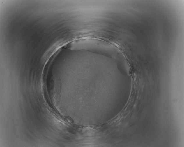 X0000067890290200604171344