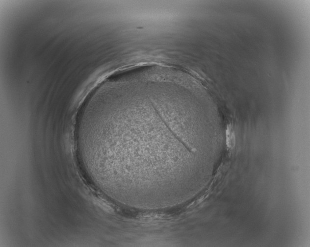 X0000067890291200604171344