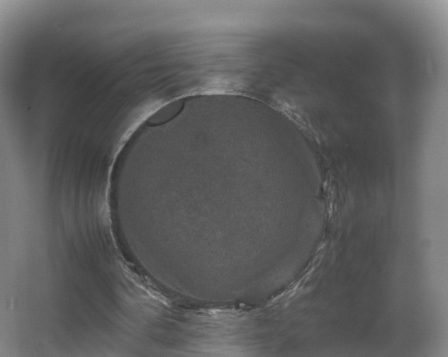 X0000067890292200604171344