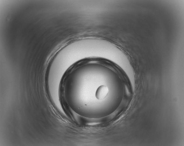 X0000067890293200604171344