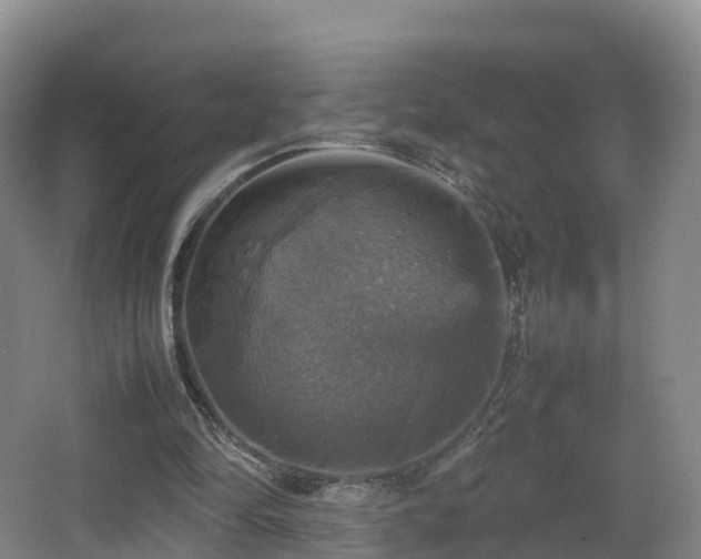 X0000067890294200604171344