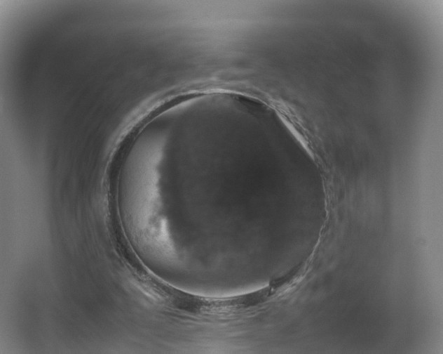 X0000067890295200604171344