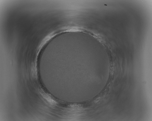 X0000067890296200604171344