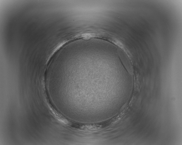 X0000067890297200604171344