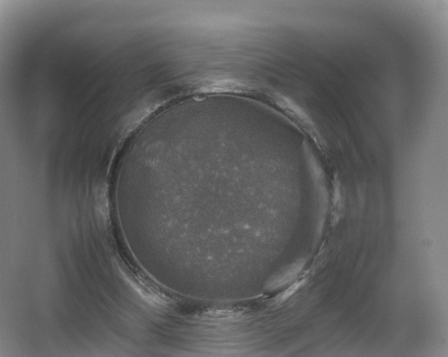 X0000067890298200604171344