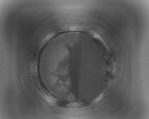 X0000067890299200604171344