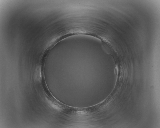 X0000067890302200604171344