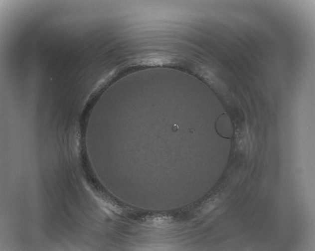 X0000067890304200604171344