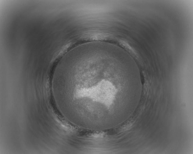 X0000067890306200604171344