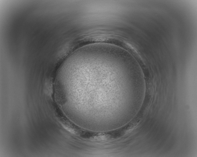 X0000067890307200604171344