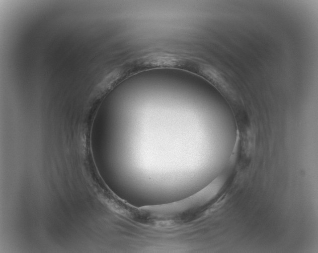 X0000067890309200604171344