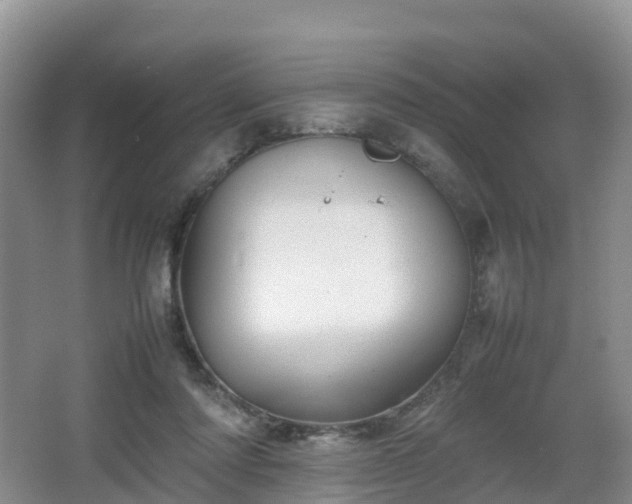 X0000067890310200604171344