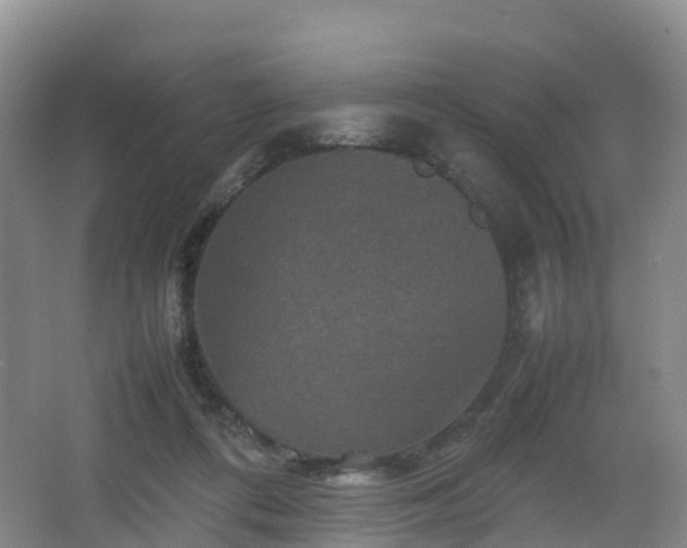 X0000067890312200604171344