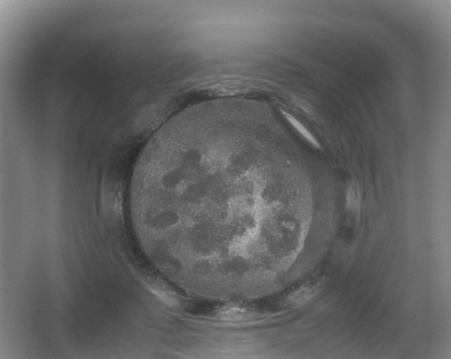 X0000067890315200604171344