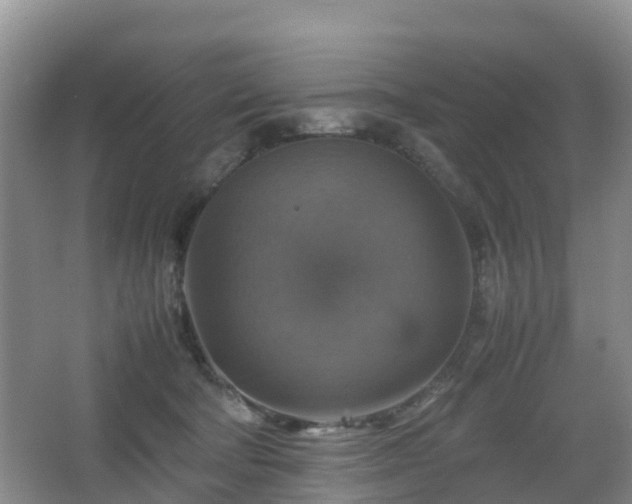 X0000067890322200604171344