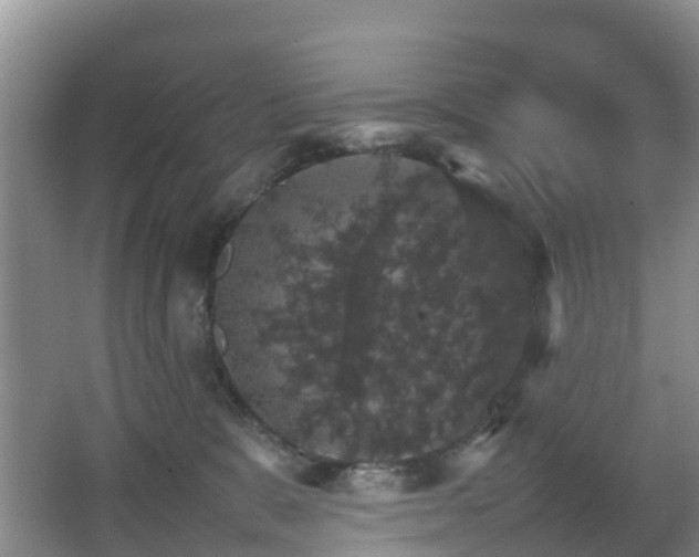 X0000067890327200604171343