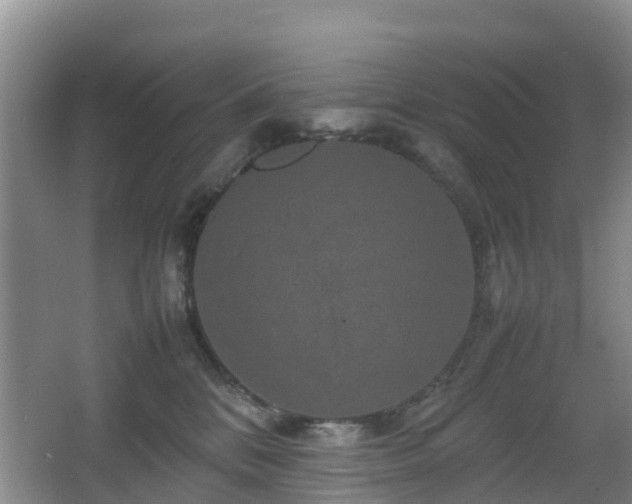 X0000067890328200604171343