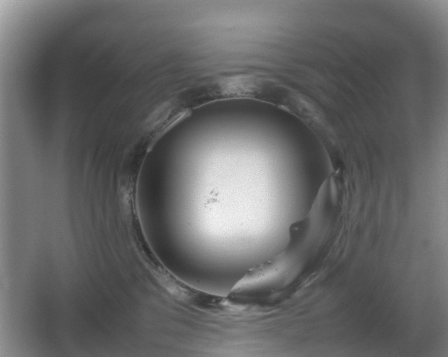 X0000067890329200604171343