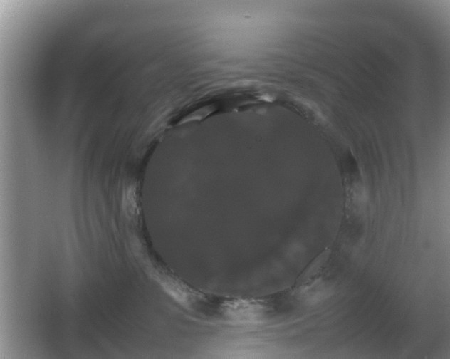 X0000067890331200604171343