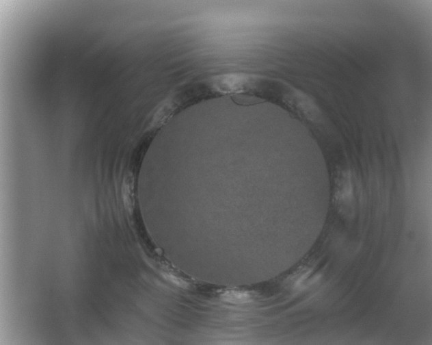 X0000067890332200604171343