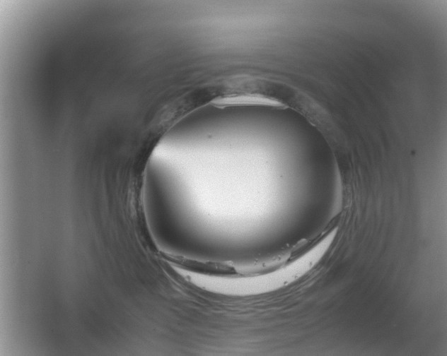 X0000067890333200604171343