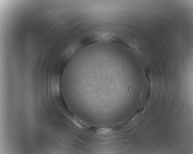 X0000067890334200604171343