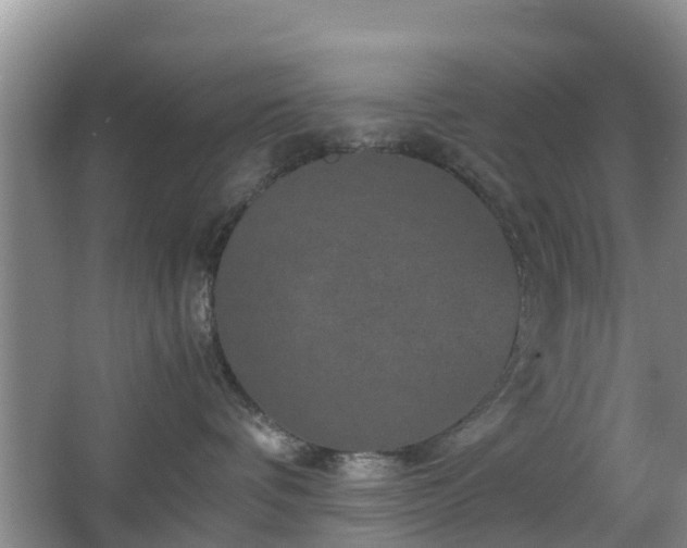 X0000067890336200604171343