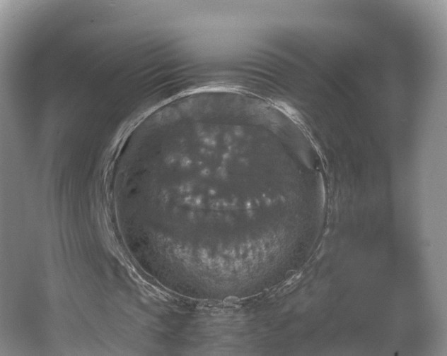 X0000067890337200604171343