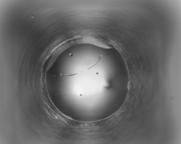 X0000067890338200604171343