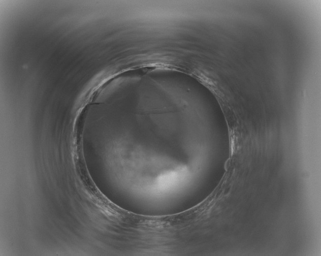 X0000067890339200604171343