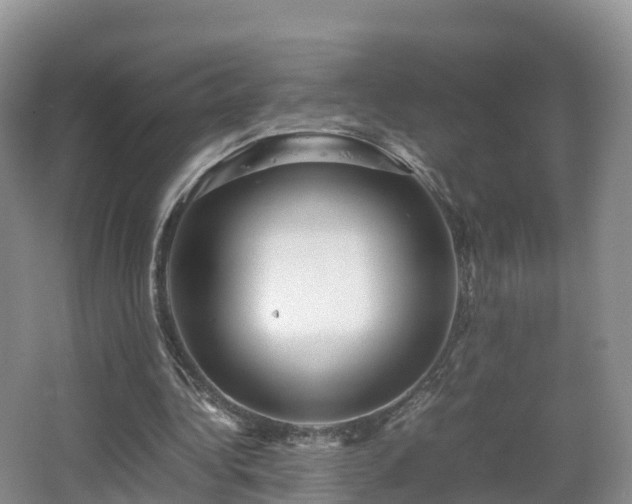 X0000067890340200604171343