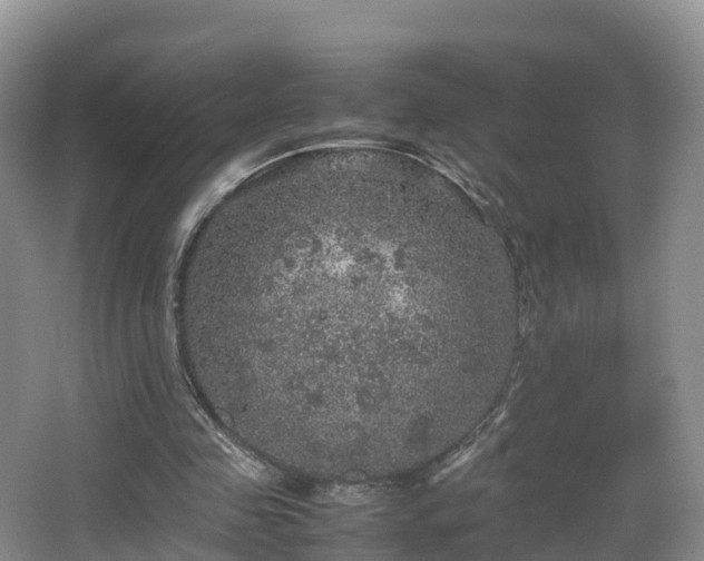 X0000067890341200604171343