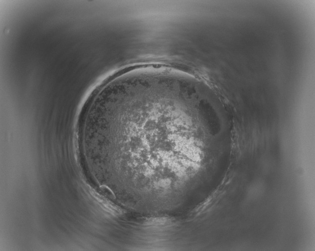 X0000067890342200604171343