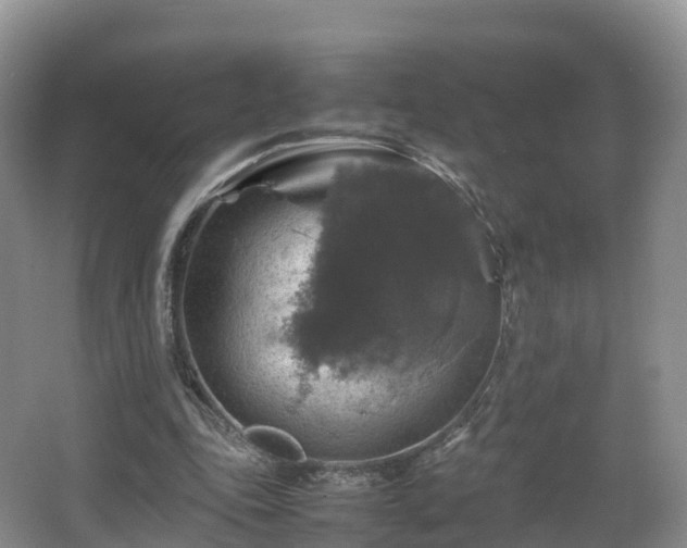 X0000067890343200604171343