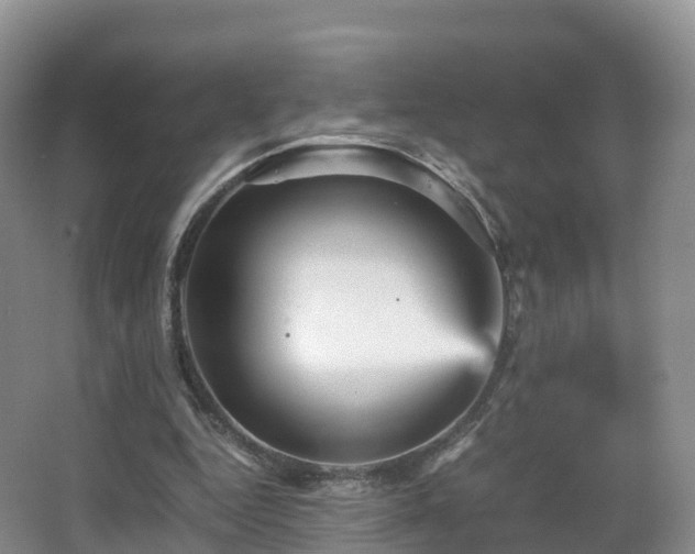 X0000067890344200604171343