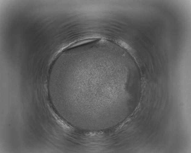 X0000067890345200604171343