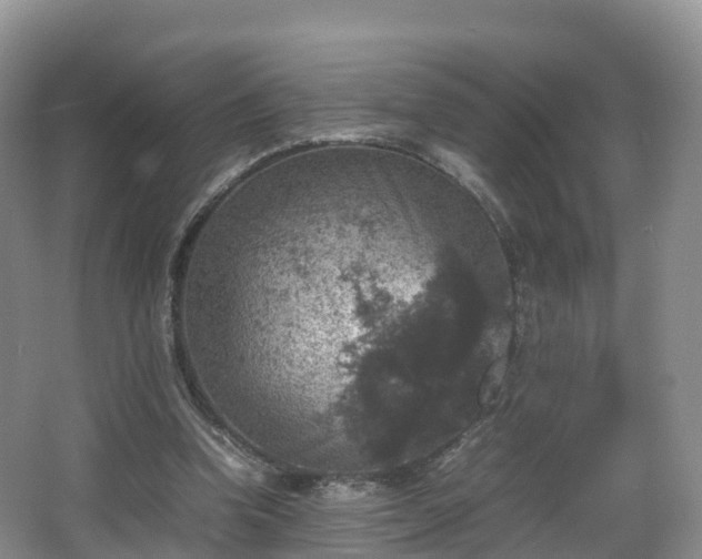 X0000067890346200604171343