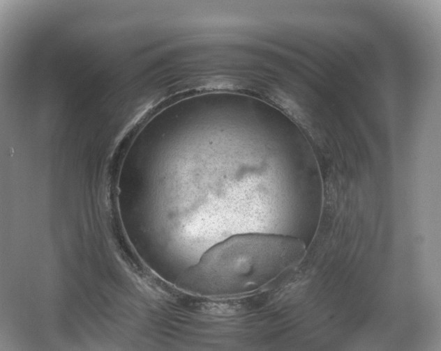 X0000067890347200604171343