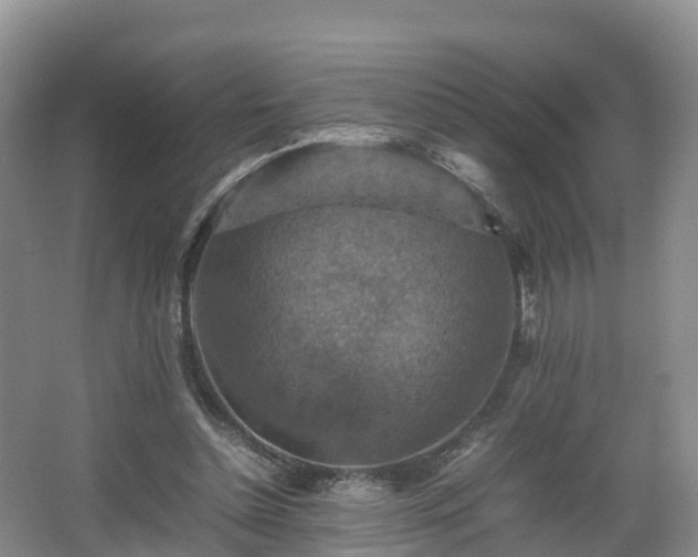 X0000067890348200604171343