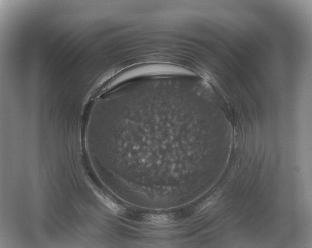 X0000067890349200604171343