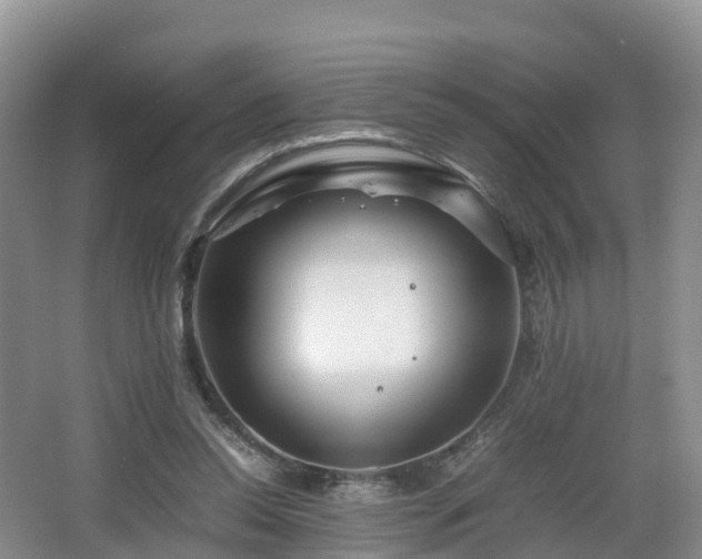 X0000067890350200604171343